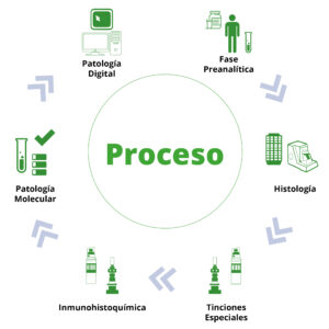 Consumibles Proceso Exclusivo